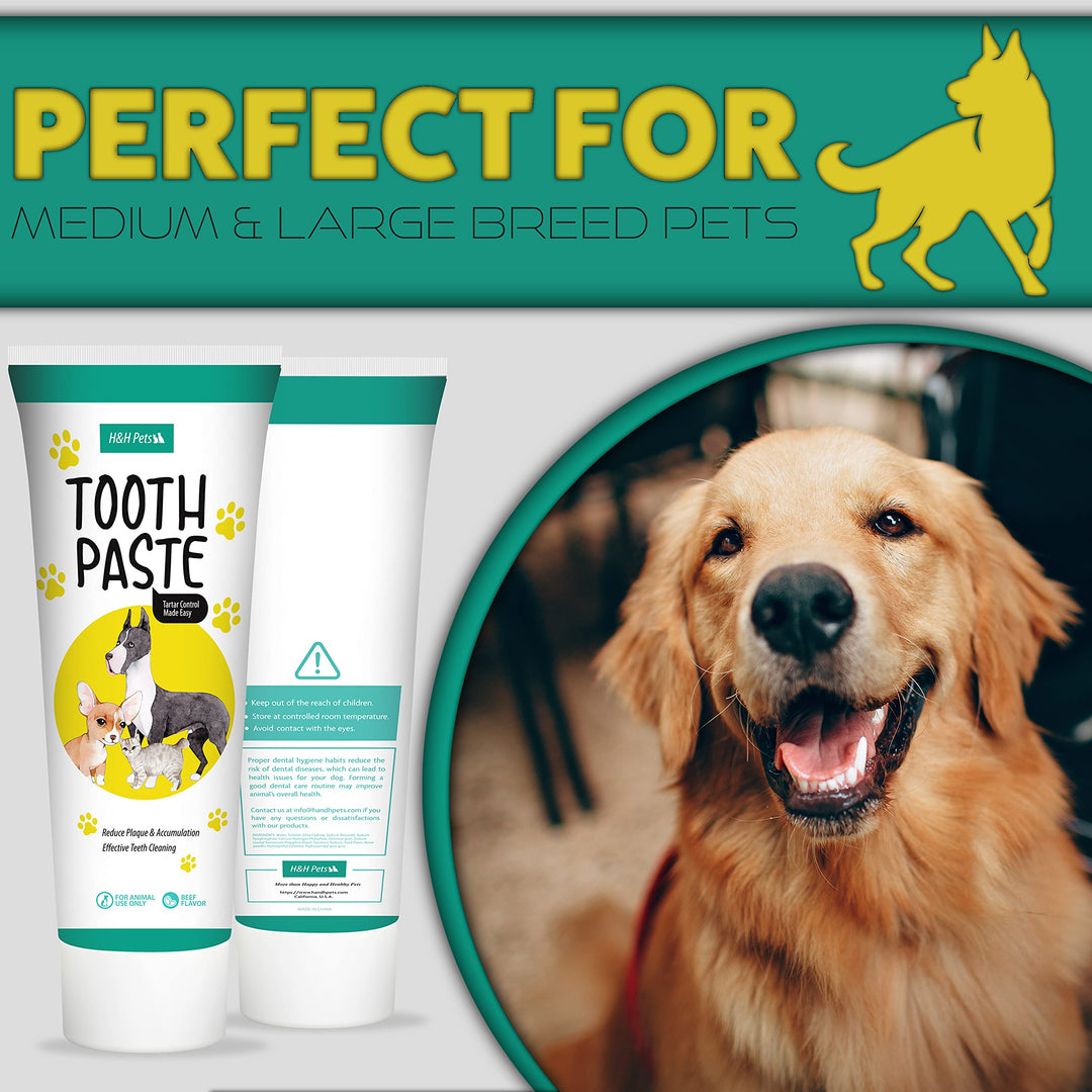 H&amp;H Pets Dog Toothbrushes and Toothpaste Best Professional Cat &amp; Dog Finger Tooth Brush, Dog Brush Set, Perfect for Dogs and Cats, Dog Supplies - Size Small 4 Count 3.5 Oz Toothpaste (100g)
