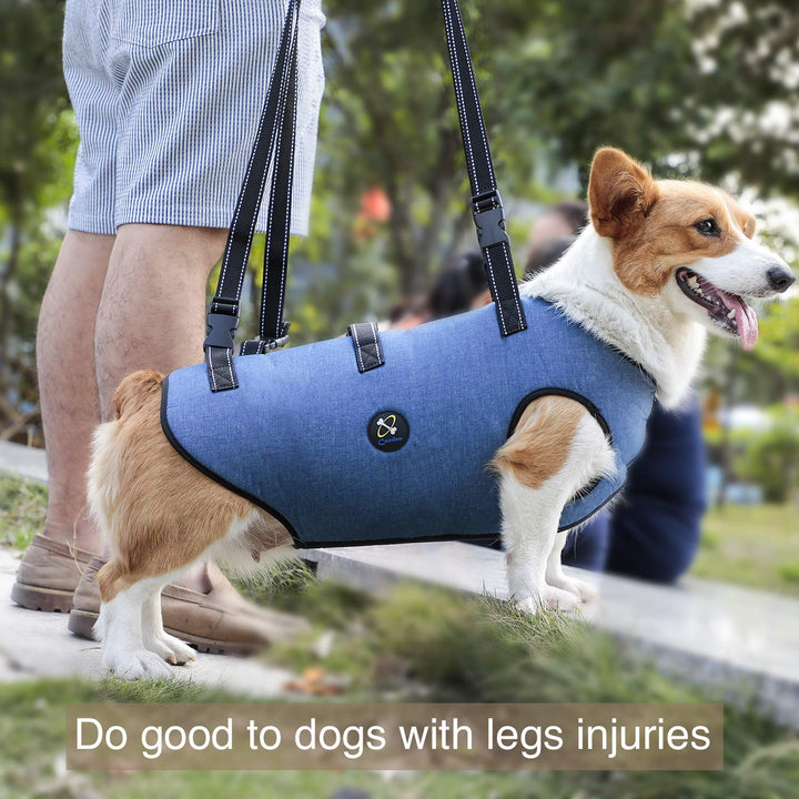 Dog Lift Harness, Pet Support &amp; Rehabilitation Sling Lift Adjustable Padded Breathable Straps for Old, Disabled, Joint Injuries, Arthritis, Loss of Stability Dogs Walk (Blue, S)