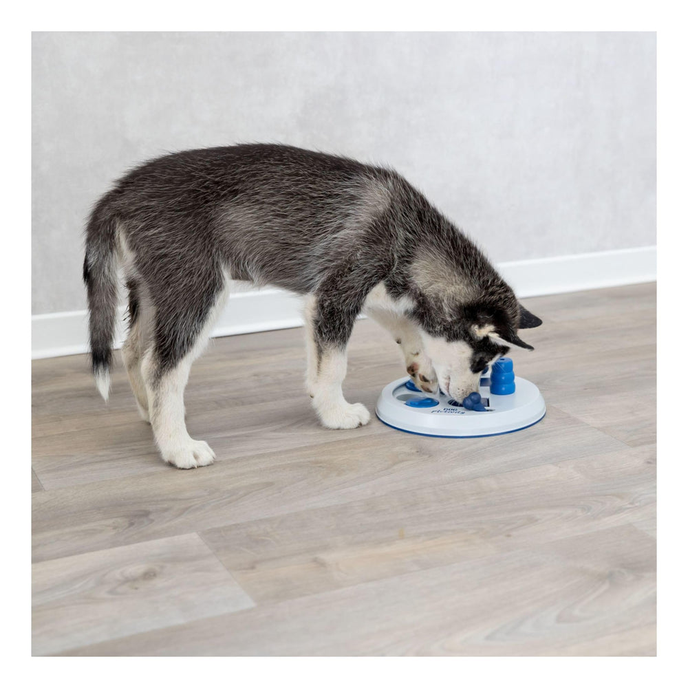 Flip Board Dog Puzzle Toy, Intermediate (Level 2) Strategy Game, Dog Activity Treat Toy for Dogs