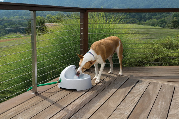 Drinkwell Everflow Indoor/Outdoor Dog and Cat Water Fountain, 192 oz.