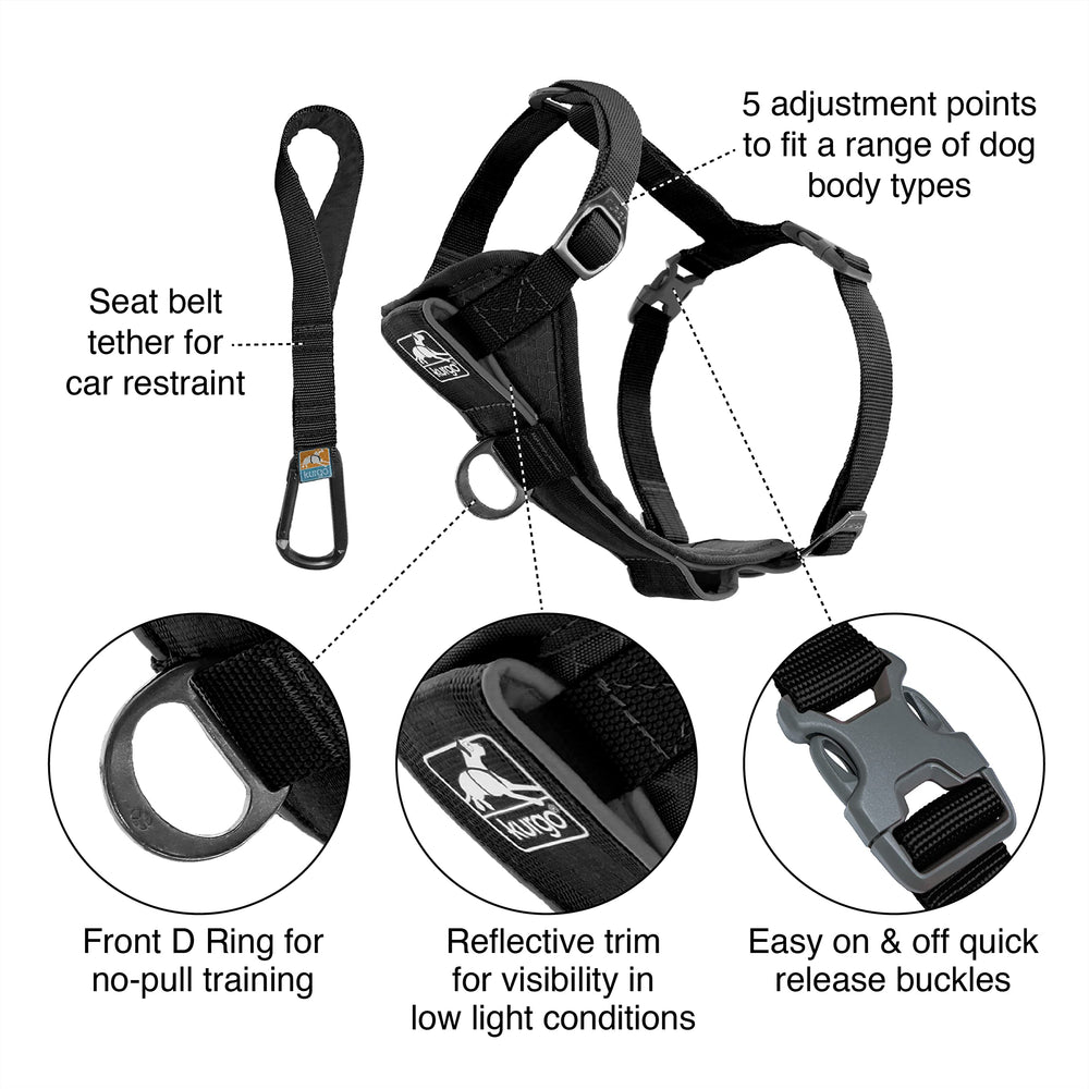 Tru-Fit Smart Harness, Dog Harness, Pet Walking Harness, Quick Release Buckles, Front D-Ring for No Pull Training, Includes Dog Seat Belt Tether (Black, Medium)