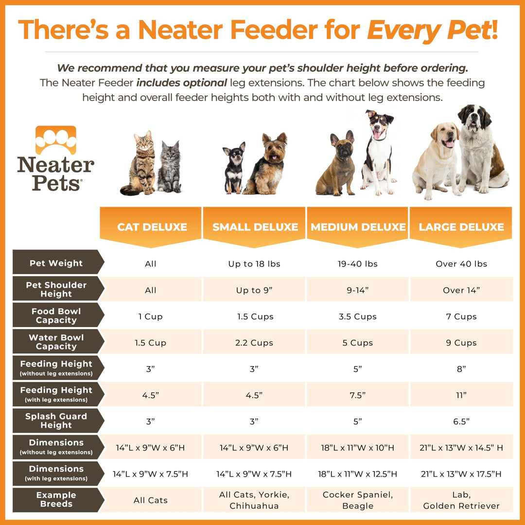 Neater Feeder Deluxe Mess Proof Dog Bowls Elevated for Small Breed – Made in USA – No Spill Raised Dog Food Bowl Stand – Stainless Steel Food and Water Bowl Set, Pet Feeding Station, Bronze