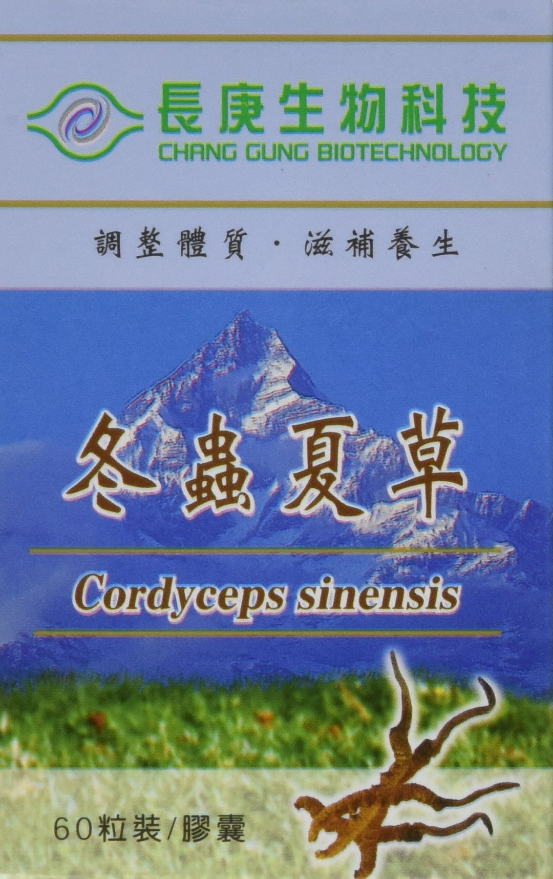 Cordyceps Sinensis Capsules - SGS Certified, cGMP Certified, Guaranteed Authentic, 99.6% rDNA Proven Genuine - 60 Capsules per Bottle, 350mg per Capsule - Made in Taiwan