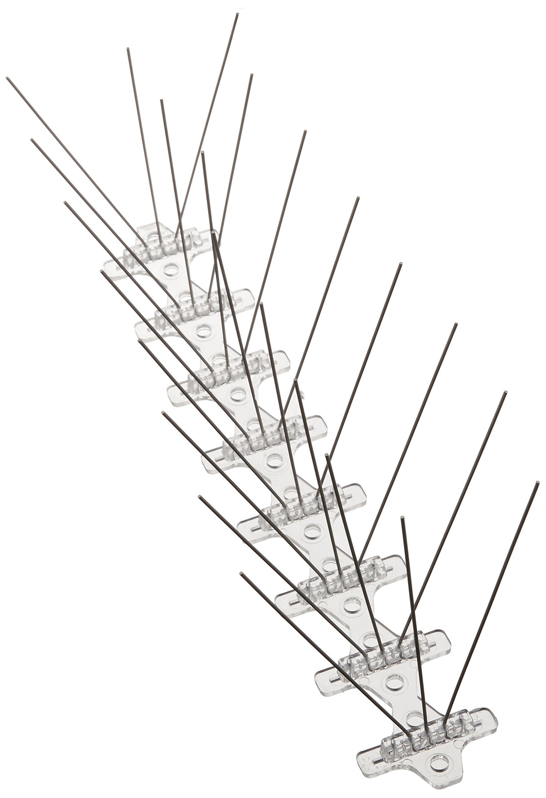 Bird B Gone Stainless Steel Bird Spikes - 6 ft box