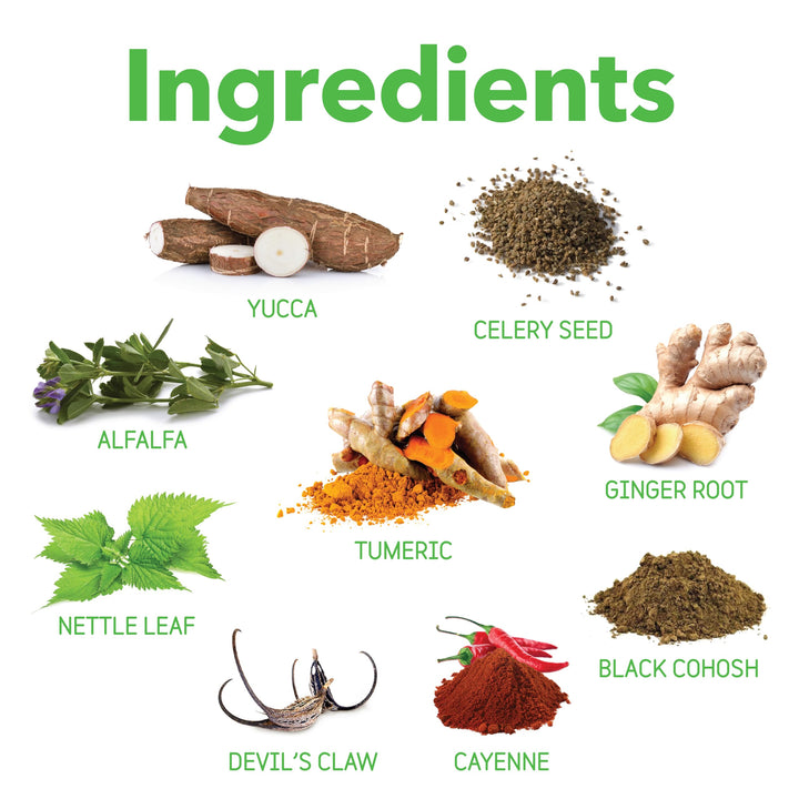 InClover Connectin Natural Hip &amp; Joint Supplement for Dogs with Glucosamine, Chondroitin &amp; Hyaluronic Acid - Powder for Dog Mobility, Comfort &amp; Active Lifestyle Support, 23oz