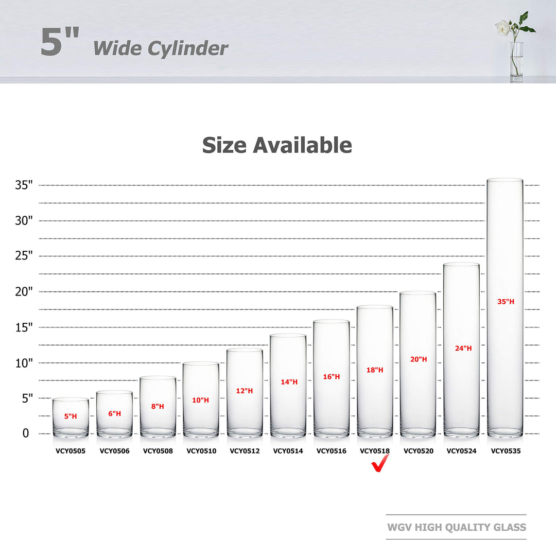 WGV Cylinder Vase, Diameter 5, Height 18, Clear Glass F