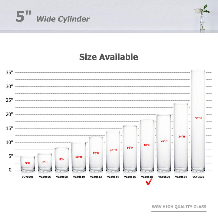 WGV Cylinder Vase, Diameter 5, Height 18, Clear Glass F