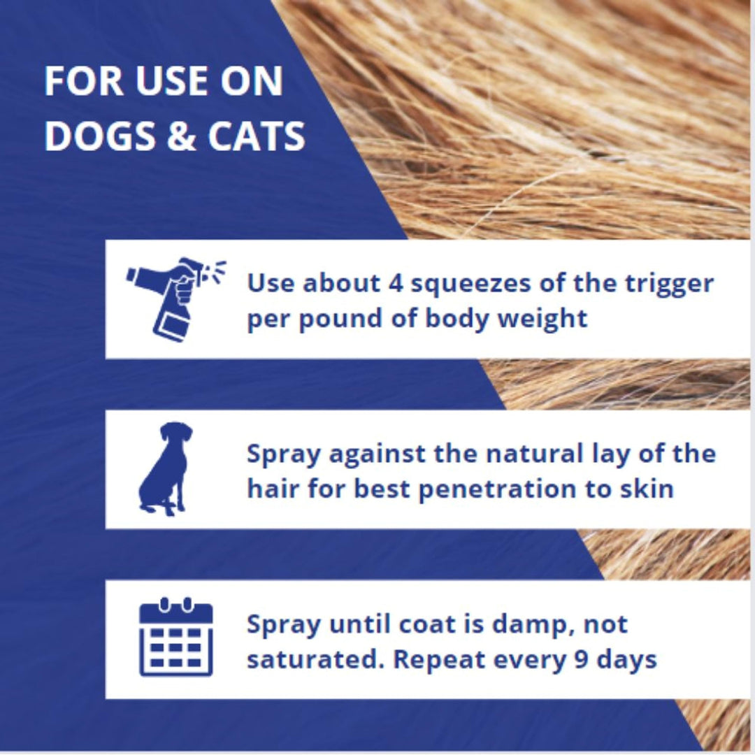 Farnam Flys-Off Insect Repellent for Dogs and Cats 6 Fluid Ounces