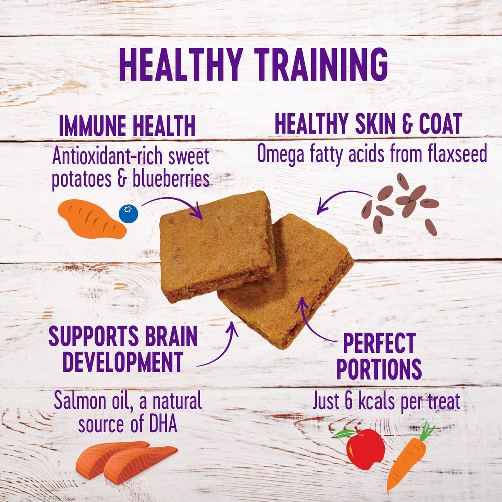 Puppy Treats, Natural, Training Treat, Grain Free, Soft Lamb & Salmon (3 Ounce bag)