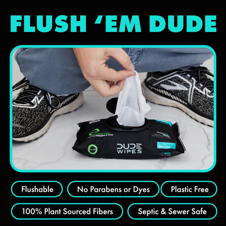 DUDE Wipes Flushable Wet Wipes Dispenser, Mint Chill, 4