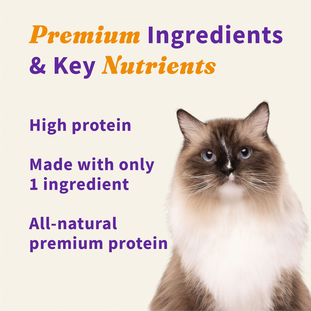 Freeze Dried Raw Cat Treats, 100% Wild Caught Salmon Recipe, Cat Treats Pouch, All-Natural High Protien Treat, 1.6 Oz Pouch
