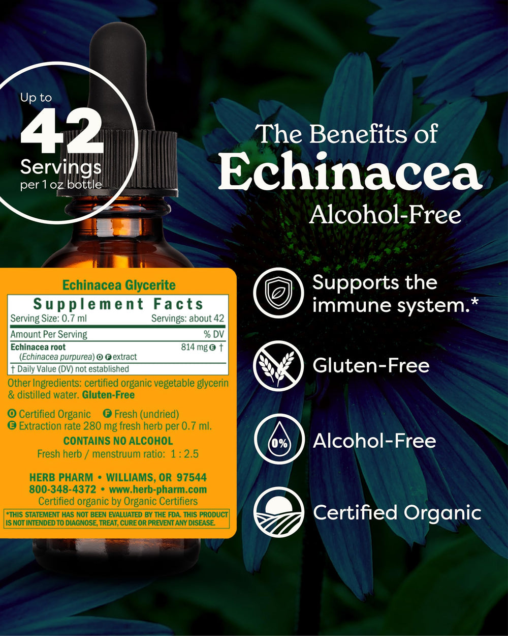 Herb Pharm Organic Echinacea Root Extract, Alcohol-Free