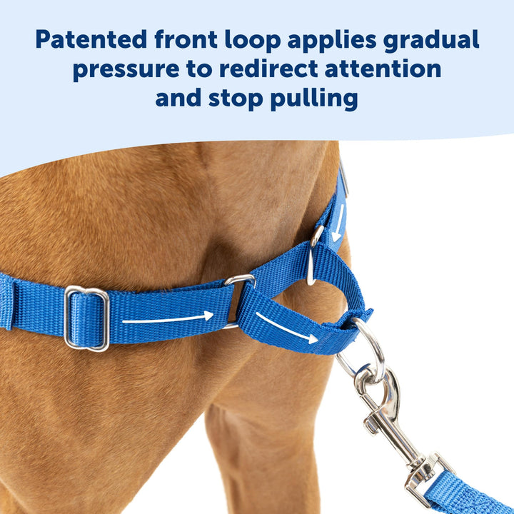 Easy Walk No-Pull Dog Harness - The Ultimate Harness to Help Stop Pulling - Take Control &amp; Teach Better Leash Manners - Helps Prevent Pets Pulling on Walks, Medium/Large, Raspberry/Gray