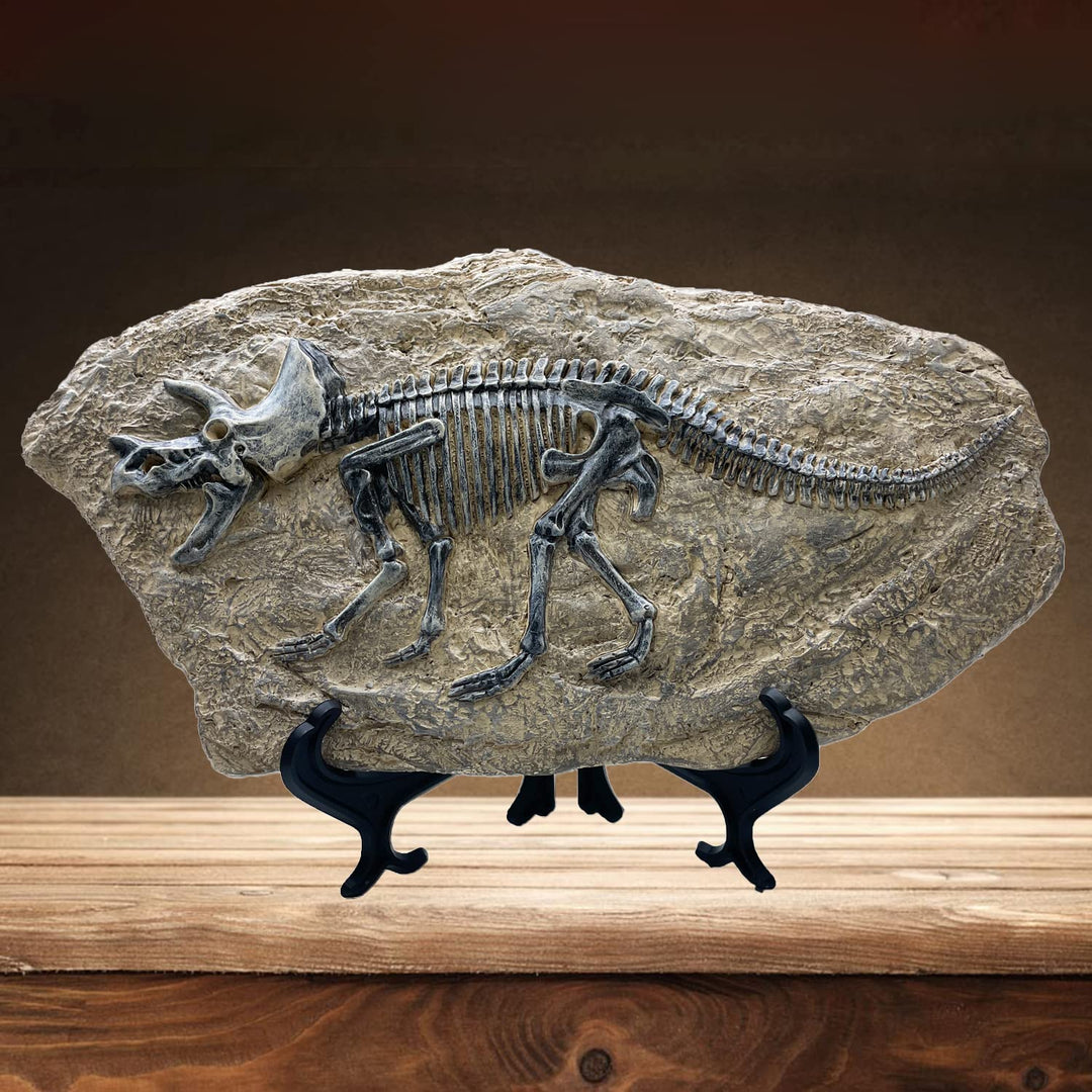 Resin Triceratops Dinosaur Fossil Statue Model Simulated Skeleton Home Office Display Decorative Craft Box Decoration (Style 6)