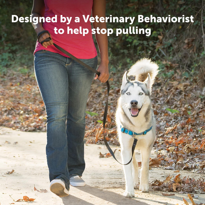 Easy Walk Deluxe Dog Harness, No Pull Dog Harness – Perfect for Leash &amp; Harness Training – Stops Pets from Pulling and Choking on Walks – Medium, Ocean