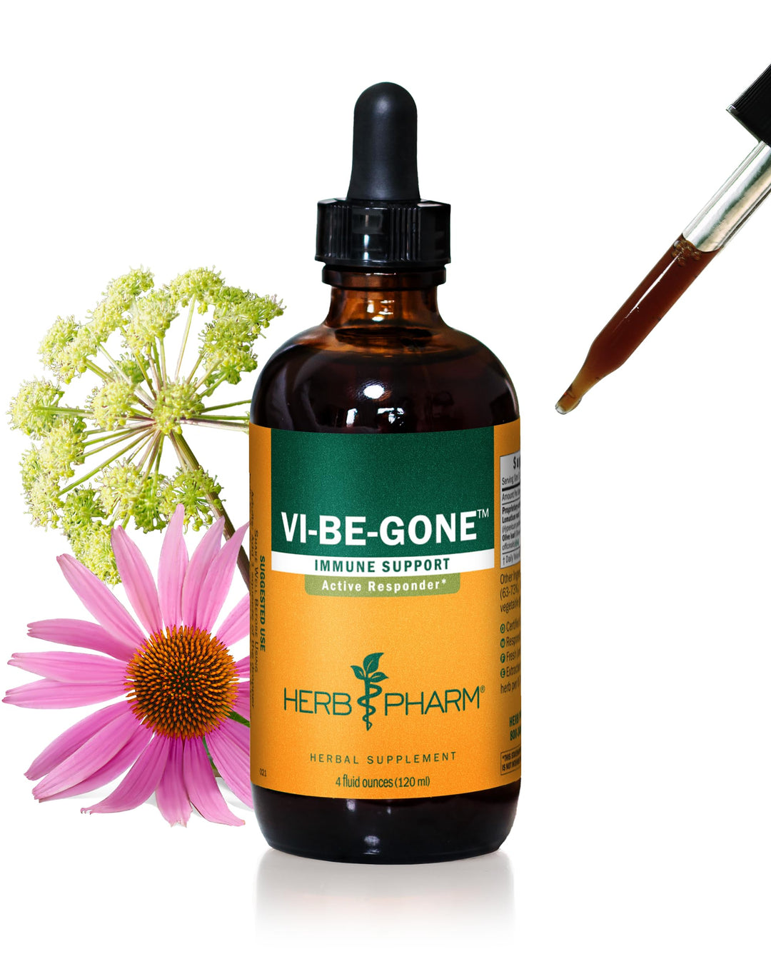 Virattack Liquid Herbal Formula with Lomatium for Active Immune System Support - 4 Ounce