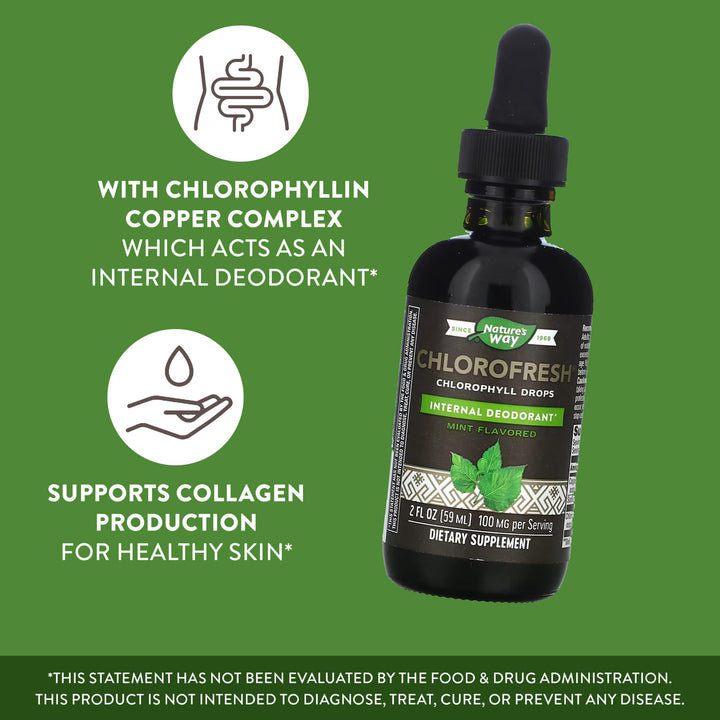 Nature&#39;s Way Chlorofresh, Liquid Chlorophyll Co