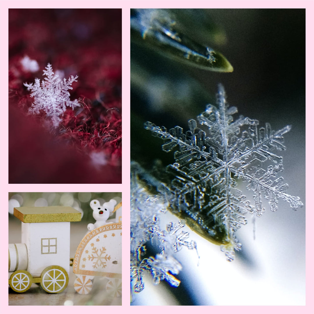 7405.60/50-004 Snowflake 2.5 X 50 YD Nylon Sheer Wired Glitter Ribbon, Ivory/Gold, Ribbon Art Supplies for Christmas Decorations, Indoor Christmas Ribbon for Gift Wrapping Art Set