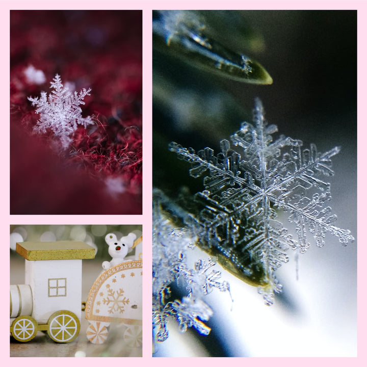 7405.60/50-004 Snowflake 2.5 X 50 YD Nylon Sheer Wired Glitter Ribbon, Ivory/Gold, Ribbon Art Supplies for Christmas Decorations, Indoor Christmas Ribbon for Gift Wrapping Art Set