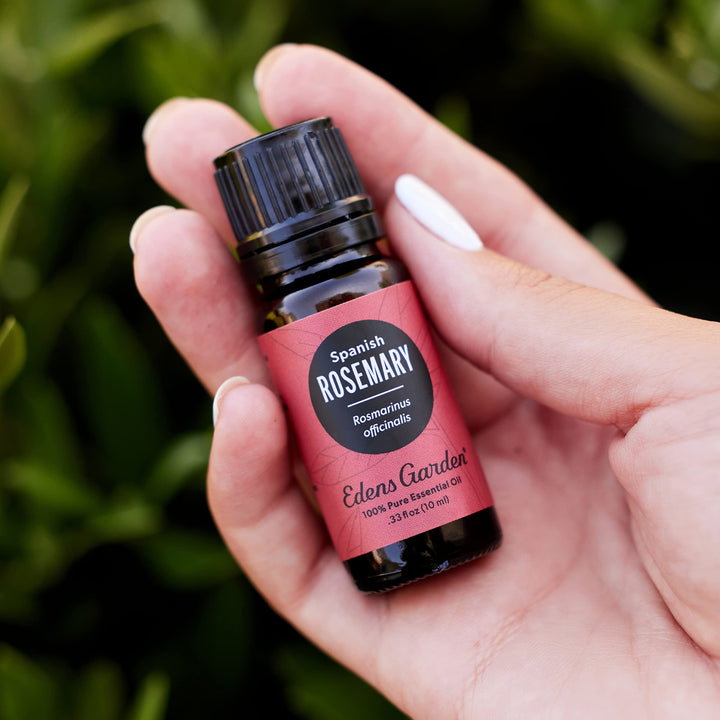 Rosemary 100% Pure Therapeutic Grade Essential Oil- 10 ml