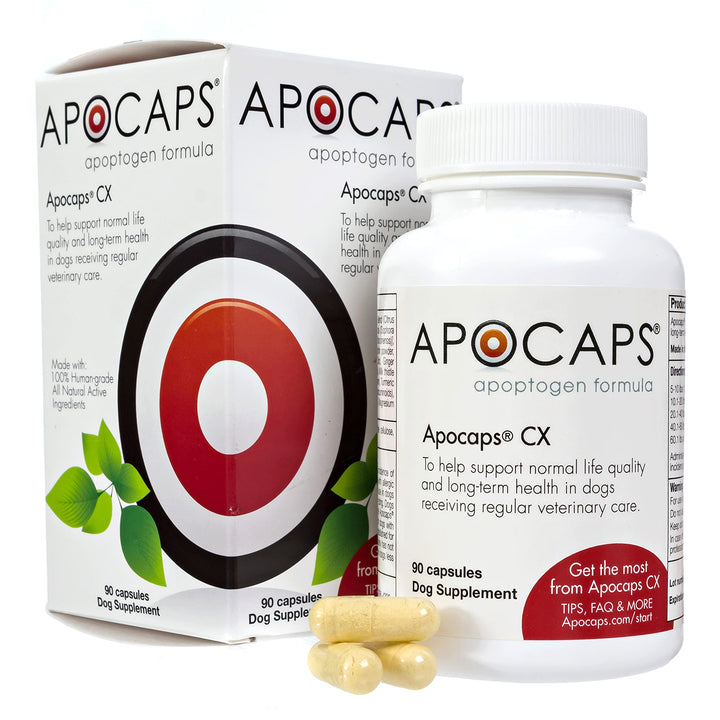 Apocaps CX Apoptogen Formula for Dogs (90 Capsules) - Supports Normal Levels of Apoptosis + Human Grade Ingredients Including Citrus Bioflavonoids, Silymarin, Curcumin and Turmeric + Biovadex