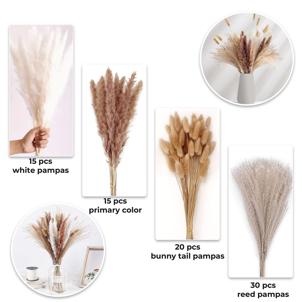 Natural Dried Pampas Grass Décor | 80Pcs Pampas Grass Vase Filler | 15 Pcs White and Brown Each | 20Pcs Bunny Tails | 30 Pcs Natural Reed Grass | Natural Home Décor Pompas Grass for Boho Vase(18 Inch)