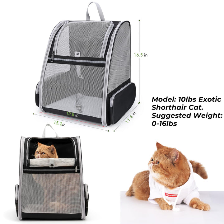 Lollimeow Cat Backpack Carrier, Ideal for Small Animals &amp; Puppies, Outdoor Adventures, Vet Transport. Fully Ventilated Design for Ultimate Comfort On-The-Go