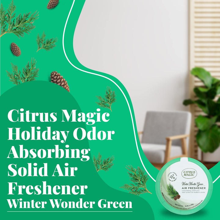 Citrus Magic 3-Pack Holiday Fragrance Solid Air Freshen