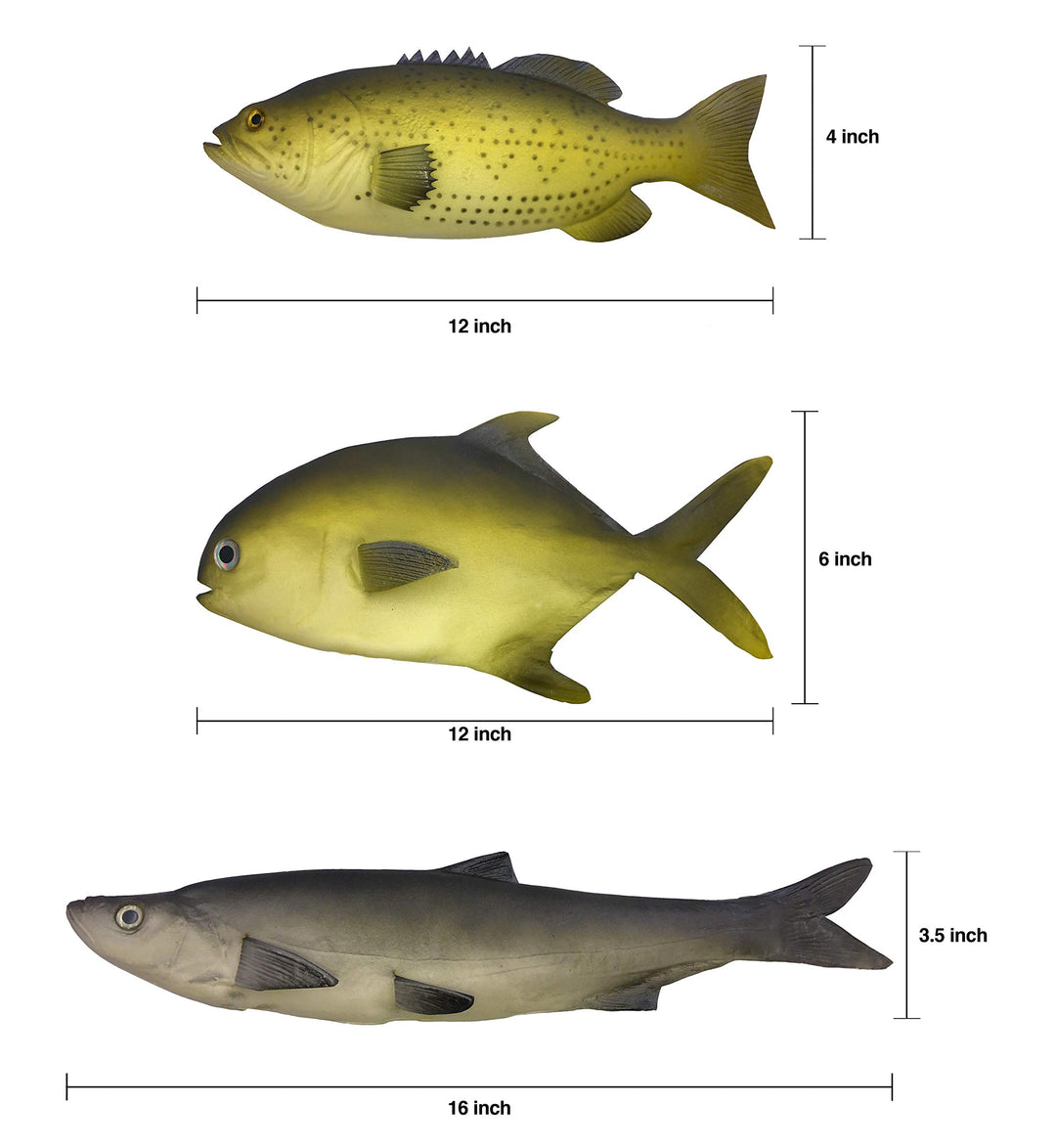 3 Large Artificial Fish- 12 to 16 in - Premium Quality - Realistic Fake Fish - Best Looking Real Fish Perfect for Food Display or Food Photography Prop - Flexible Foam Material