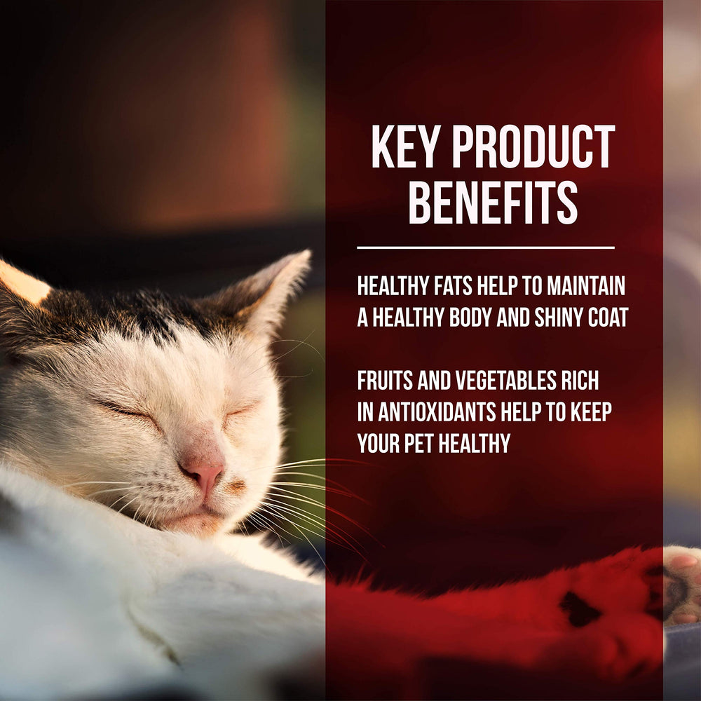 Market Fresh Chicken & Turkey Meal Formula Grain-Free Dry Cat Food 10lb