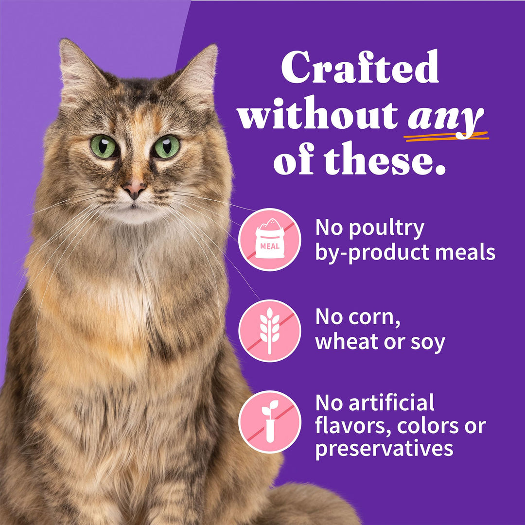 Wet Cat Food Whole Salmon Stew Recipe, Grain Free Wet Cat Pate, Canned Cat Food for Extra Hydration, 5.5 Oz Can (Pack of 12)