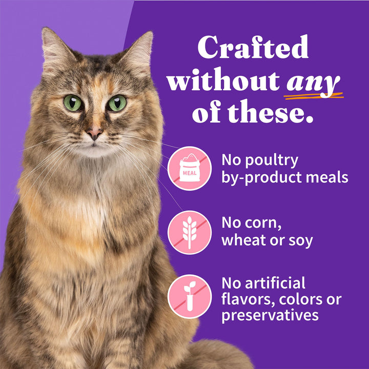 Wet Cat Food Whole Salmon Stew Recipe, Grain Free Wet Cat Pate, Canned Cat Food for Extra Hydration, 5.5 Oz Can (Pack of 12)