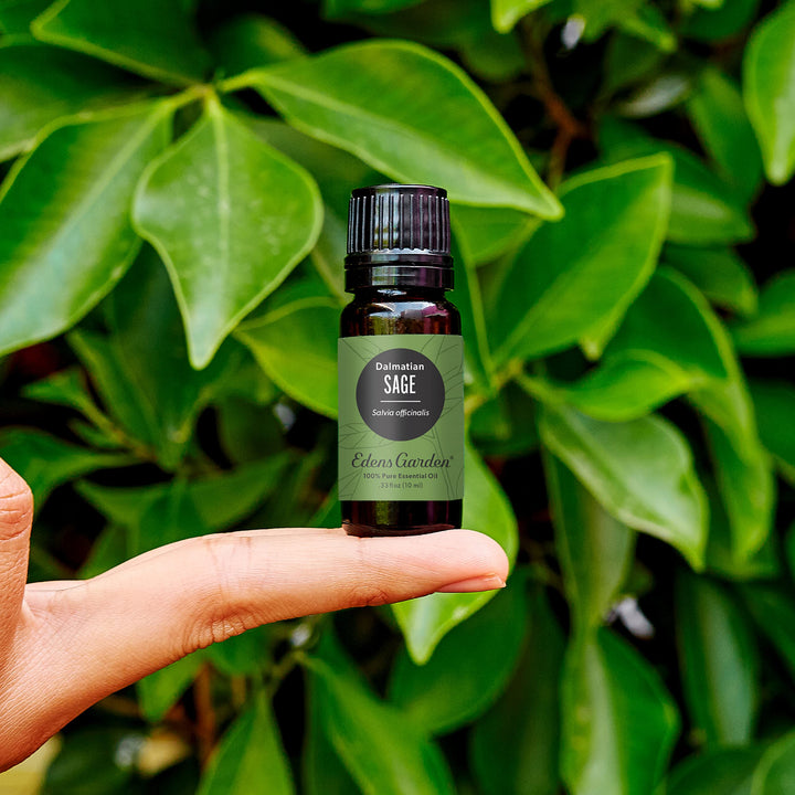 Sage 100% Pure Therapeutic Grade Essential Oil, 30 mL