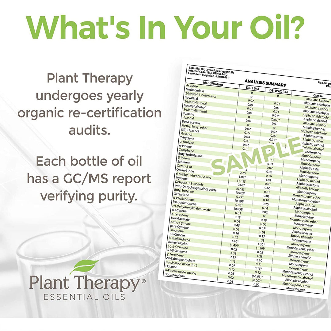 Organic Essential Oil Sampler Gift Set Includes USDA Certified Organic: Eucalyptus, Peppermint, Rosemary, Cedarwood, Sweet Orange and Citronella 10 mL (1/3 Ounce) Each