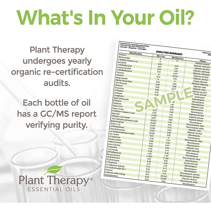 Organic Essential Oil Sampler Gift Set Includes USDA Certified Organic: Eucalyptus, Peppermint, Rosemary, Cedarwood, Sweet Orange and Citronella 10 mL (1/3 Ounce) Each