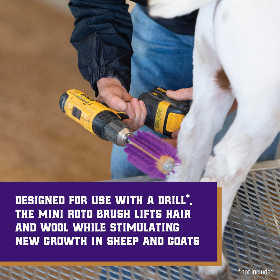 Mini Roto Brush for Livestock, Wool/Hair Stimulating and Grooming Brush for Goat Sheep Cattle, Use with Drill, Coat Deshedding Tool