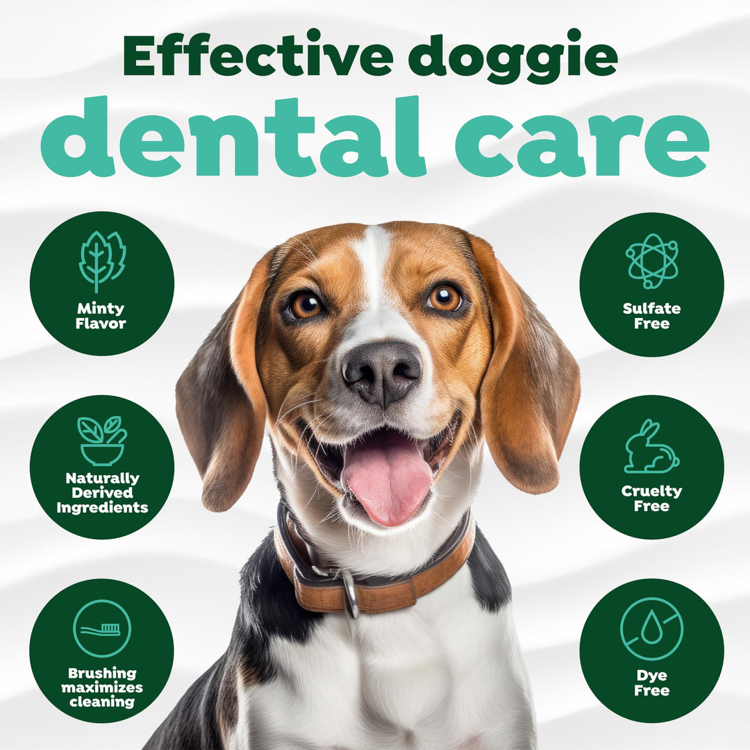 Fresh Breath Toothbrush and Toothpaste Kit for Dogs, Teeth Cleaning Kit for Plaque &amp; Tartar Removal, Breath Freshener, Dog Dental Care