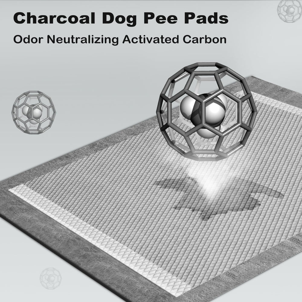 Pee Pads for Dogs Large 28x34 Inches, Charcoal Puppy Pads New & Improved Odor-Control Absorbs Up to 8 Cups of Urine Dog Pee Pads, 6-Layer Leak-Proof Wee Wee Pads for Dogs (40 Counts)