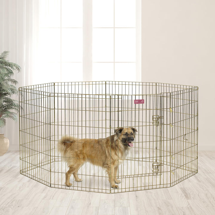 Dog Exercise Pen &amp; Playpen, 24 W x 36 H, Step-Thru Door, Gold Zinc