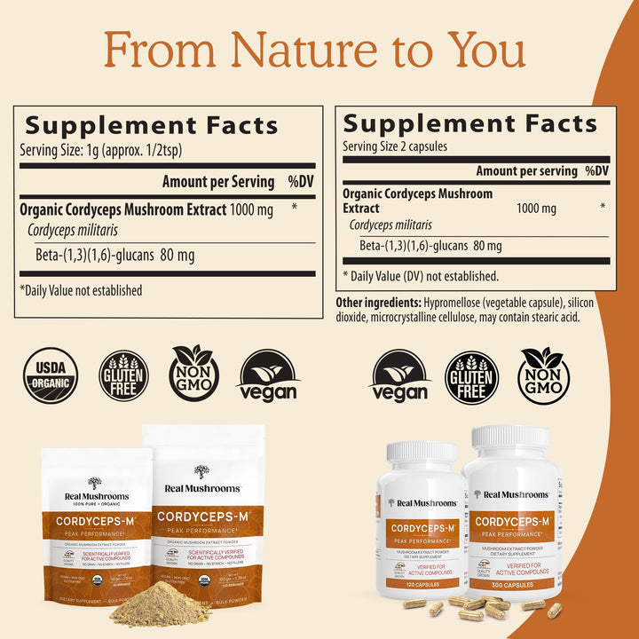 Cordyceps Mushroom Extract Powder - 60G
