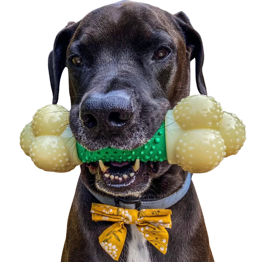 Double Action Bone Power Chew Toy for Dogs, Dog Toys for Aggressive Chewers, Bacon Flavor, X-Large - 50+ lbs, 1 Count
