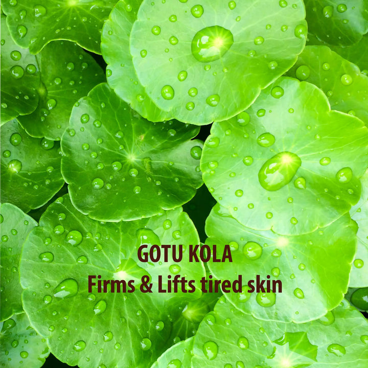 SUNDÃRI Gotu Kola and Carrageenan Body Cleanser