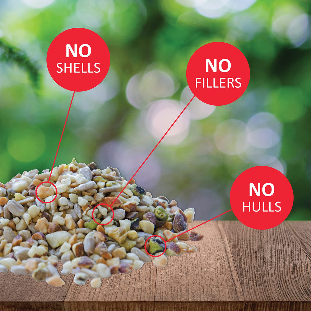 Fine Tunes Wild Bird Seed - No Waste Bird Food Mix - Attracts Bluebirds, Finches, Chickadees & More - 5 lb bag