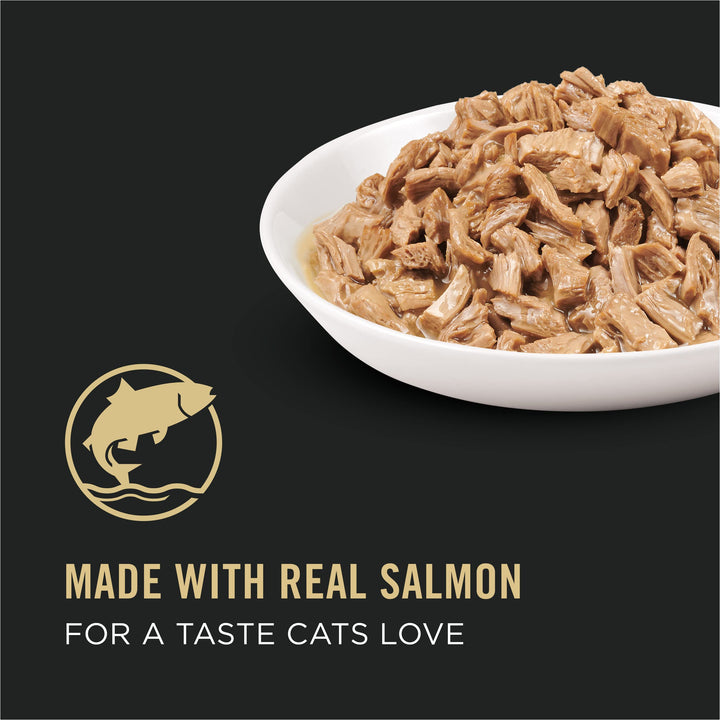 Gravy Wet Cat Food, COMPLETE ESSENTIALS Salmon Entree in Sauce - (Pack of 24) 5.5 oz. Cans
