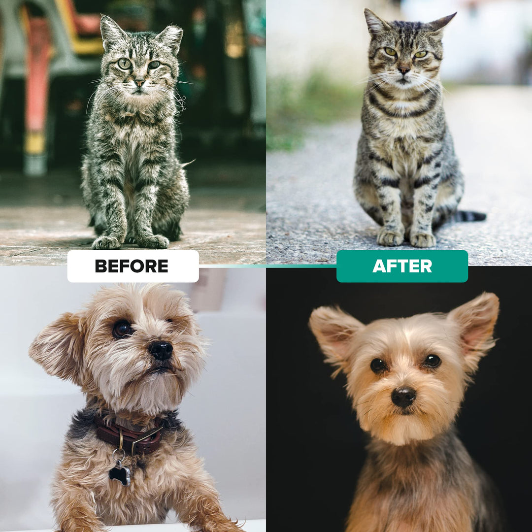 Ruff &#39;N Ruffus Dog Brush for Shedding - Double Sided Undercoat Rake for Dogs &amp; Cats - Dematting Comb for Dogs - Deshedding Dog Brush with Nail Clipper - Cat Grooming Brush Reduce Shedding by 95%