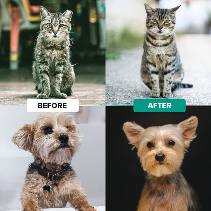 Ruff &#39;N Ruffus Dog Brush for Shedding - Double Sided Undercoat Rake for Dogs &amp; Cats - Dematting Comb for Dogs - Deshedding Dog Brush with Nail Clipper - Cat Grooming Brush Reduce Shedding by 95%