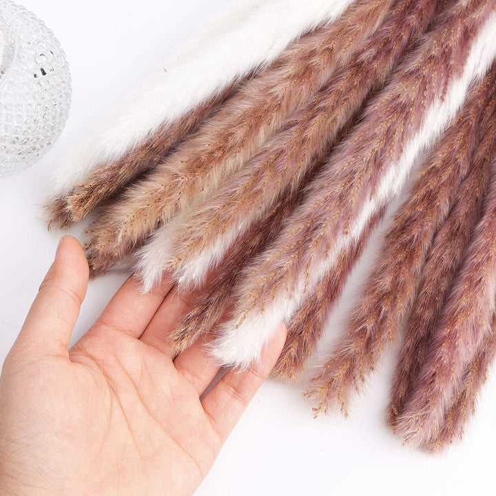 DomeStar 36PCS Pampas Grass, Natural Dried Pampas Reed Grass Plume Wedding Flower