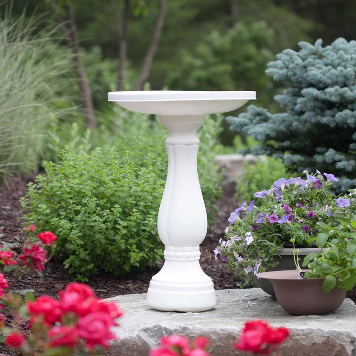 Bloem Promo Bird Bath with Pedestal, 25 x 17, White (270-10)