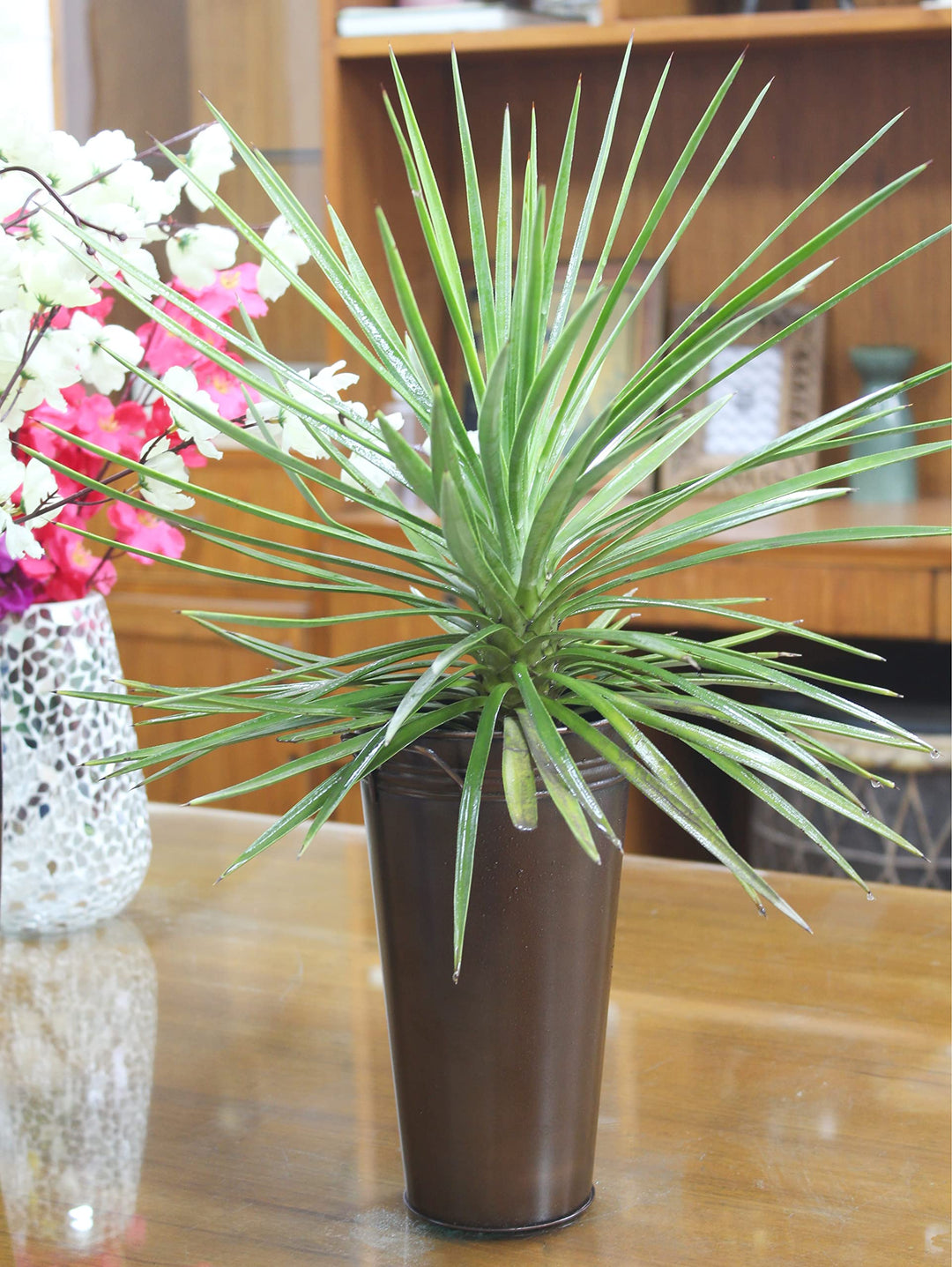 15 Inch High Antique Bronze French Bucket Vase with Handles. Ideal for Dried Floral Arrangements at Home for Weddings Gift Spa and Aromatherapy Settings O4