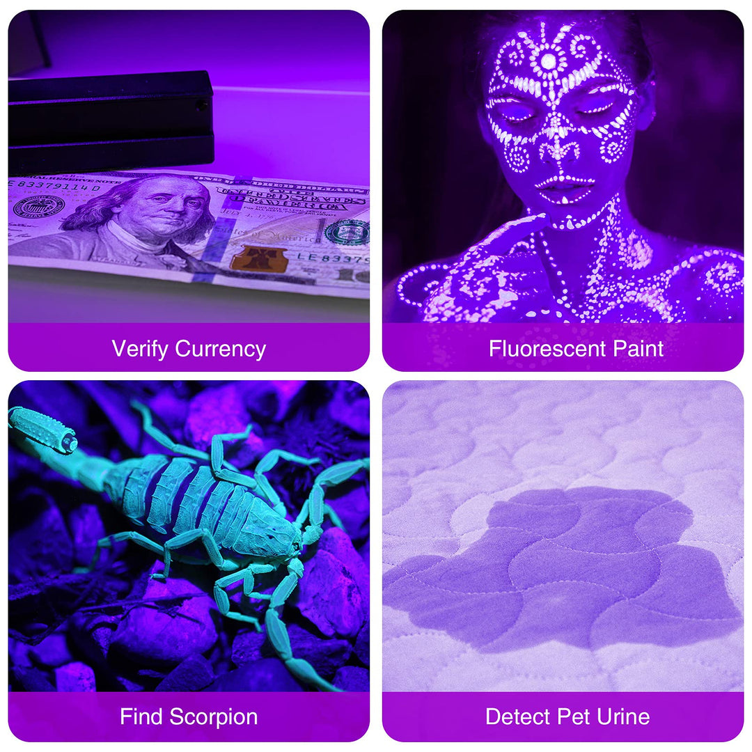 Black Light Flashlight, 2 Pack 12 LED UV Blacklight Flashlight, 395nm Handheld Mini Torch Light, Professional Urine Detector for Dog Pet Urine Stains, Bed Bugs and Scorpions.